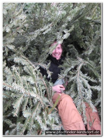 2010_weihnachtsbaumsammeln_009
