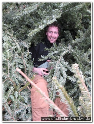 2010_weihnachtsbaumsammeln_010
