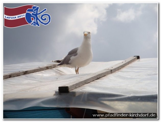 2011_latvia_0444