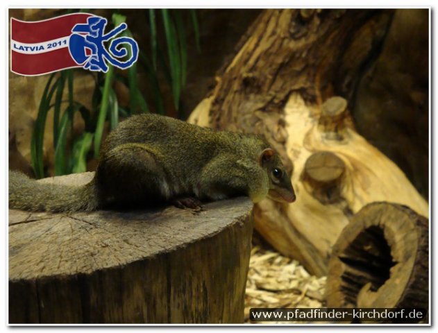 2011_latvia_0523
