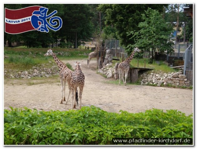 2011_latvia_0536