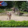 2011_latvia_0536