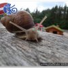 2011_latvia_0934
