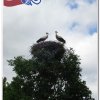 2011_latvia_1097