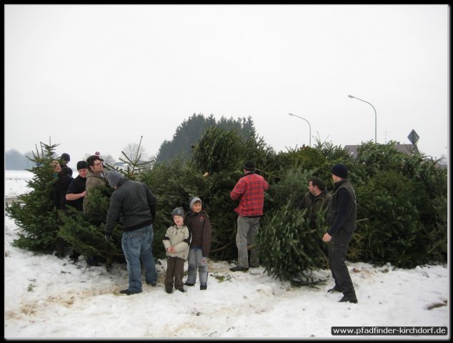 2011_weihnachtsbaumsammeln_005.jpg