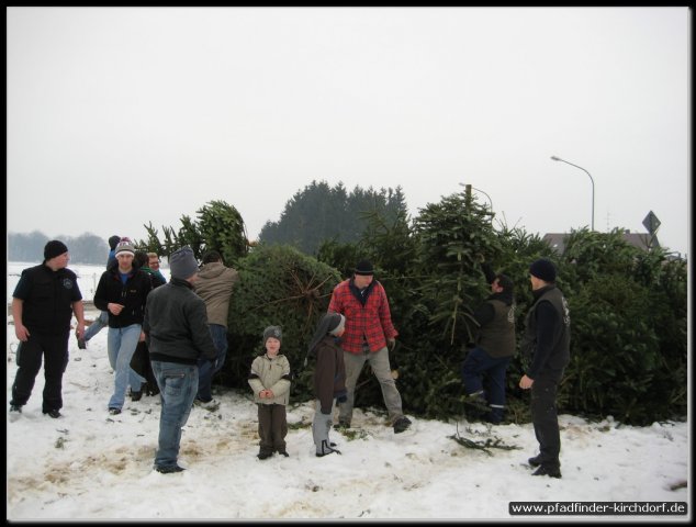 2011_weihnachtsbaumsammeln_006.jpg