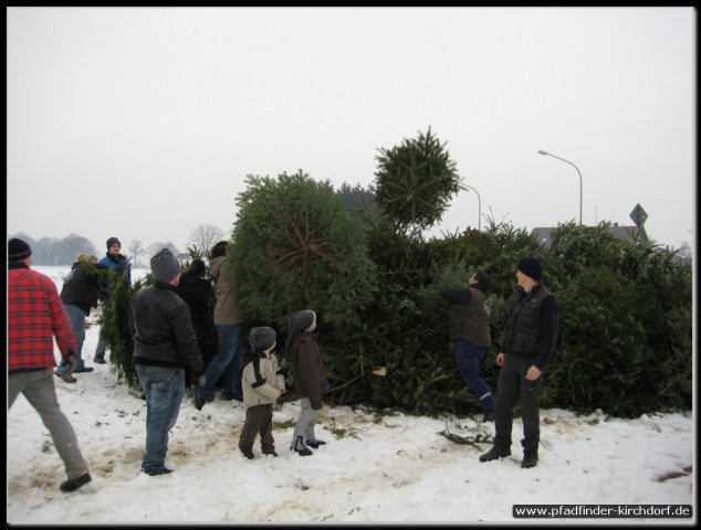 2011_weihnachtsbaumsammeln_007.jpg