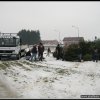 2011 - Aktionen - 2011 - Weihnachtsbaumsammelaktion