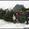 2011_weihnachtsbaumsammeln_004.jpg
