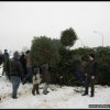 2011_weihnachtsbaumsammeln_007.jpg