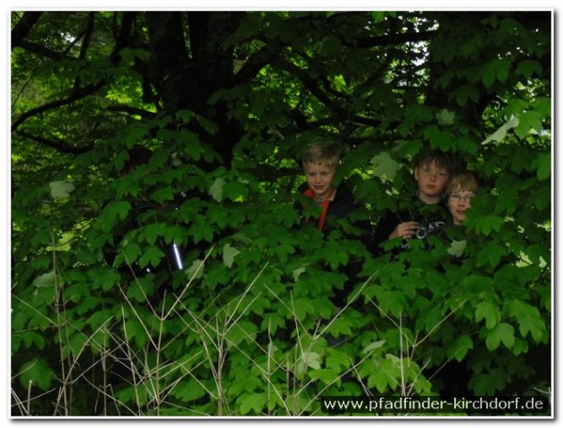 2013_westernohe_053