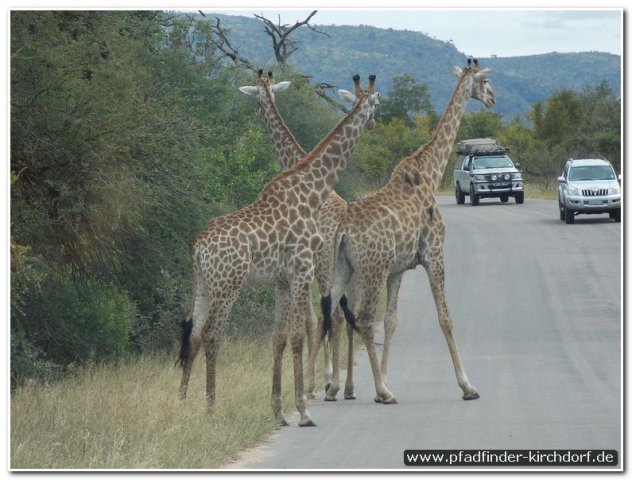2015_s_afrika_030