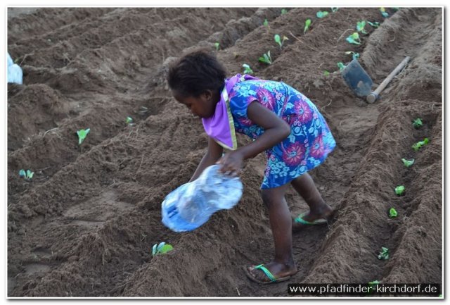 2015_s_afrika_050