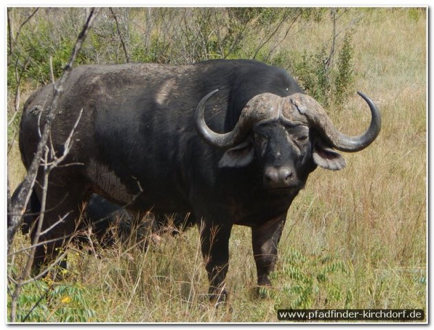 2015_s_afrika_066