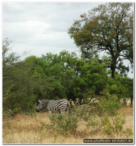 2015_s_afrika_070