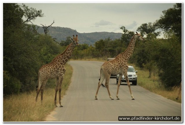 2015_s_afrika_081