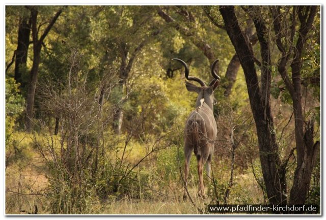 2015_s_afrika_084
