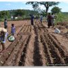 2015_s_afrika_044