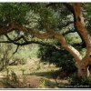 2015_s_afrika_067