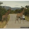 2015_s_afrika_081