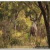 2015_s_afrika_084