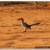 2015_s_afrika_090