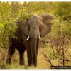 2015_s_afrika_091