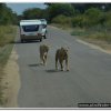 2015_s_afrika_154