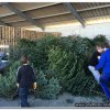 2015_wbsammeln_004