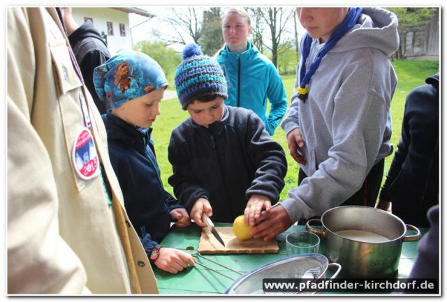 2017_stawe_alm_021