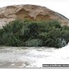 2017_wbaum_004