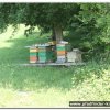 2018_stala_035