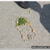 2018_stala_041