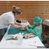 2019_teddyklinik_17