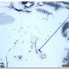 2022_wintertag_10