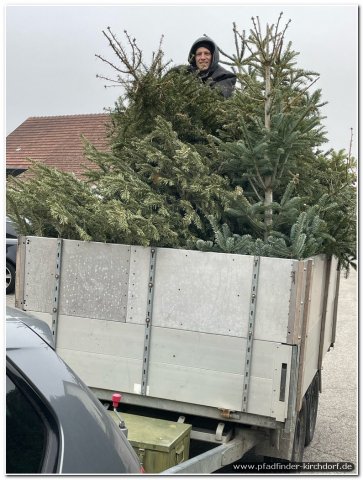 2024_christbaumsammeln_005