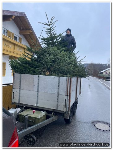 2026_christbaumsammeln-003