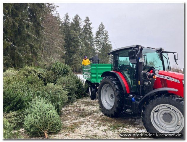 2026_christbaumsammeln-005