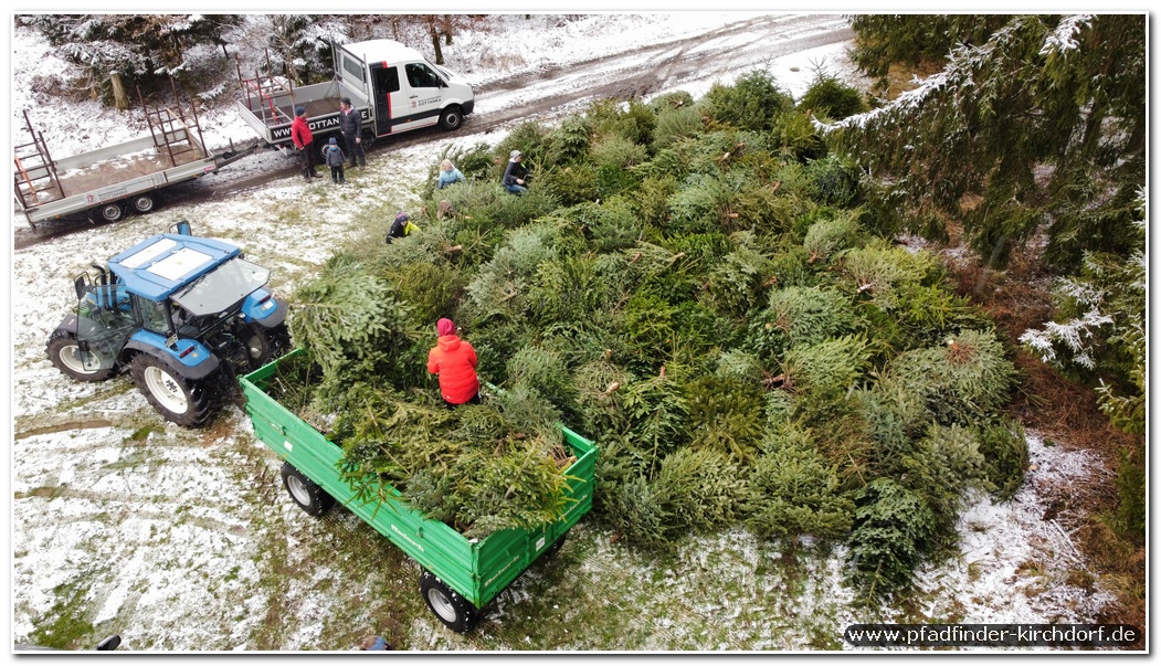 2022 Weihnachtsbaumsammeln